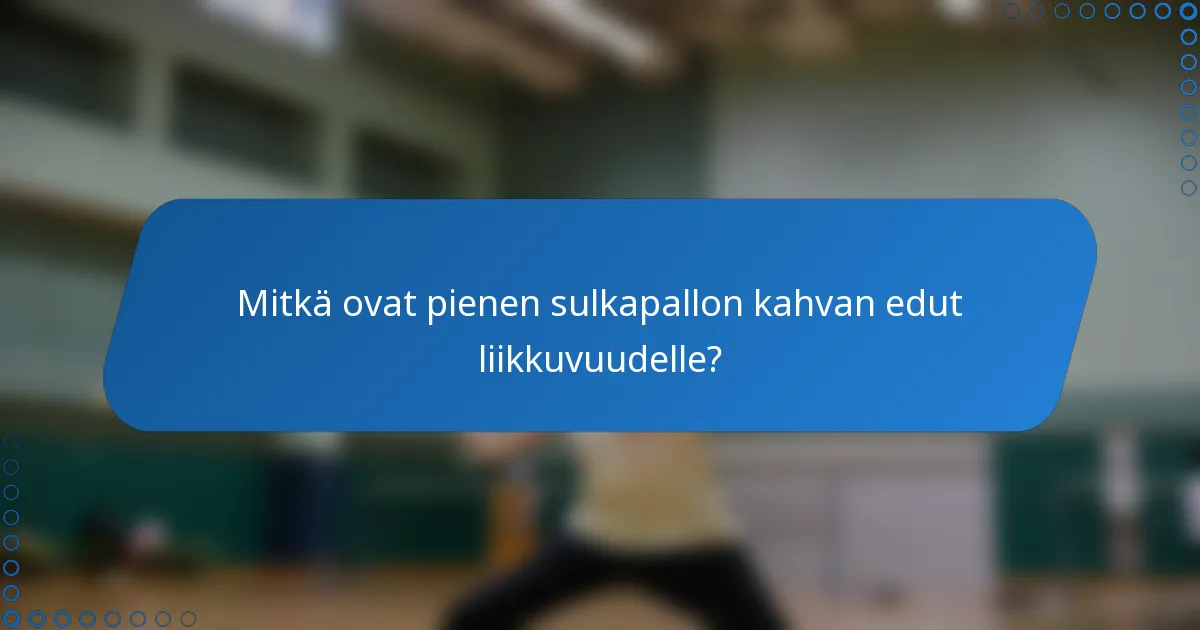 Mitkä ovat pienen sulkapallon kahvan edut liikkuvuudelle?