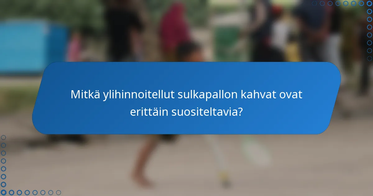Mitkä ylihinnoitellut sulkapallon kahvat ovat erittäin suositeltavia?